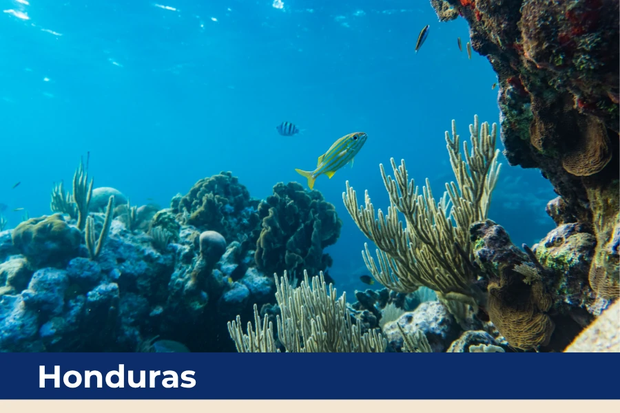 Scuba diving destination in Honduras with healthy coral reefs and tropical marine life.